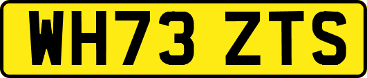 WH73ZTS