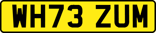 WH73ZUM