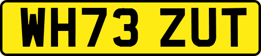 WH73ZUT