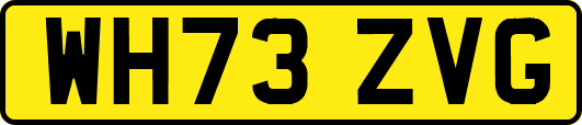 WH73ZVG