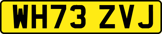 WH73ZVJ