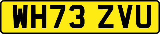 WH73ZVU