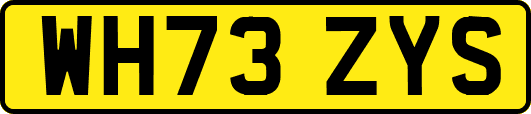 WH73ZYS