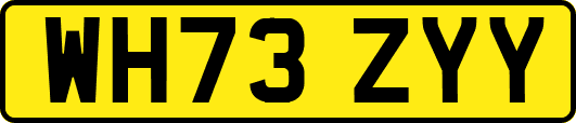 WH73ZYY