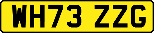 WH73ZZG