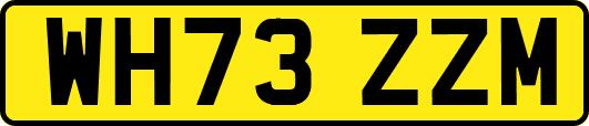 WH73ZZM