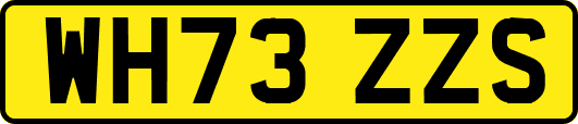 WH73ZZS