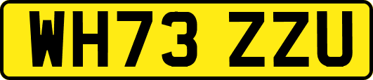 WH73ZZU