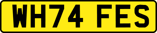 WH74FES
