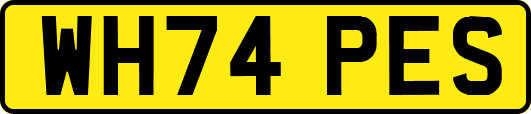 WH74PES