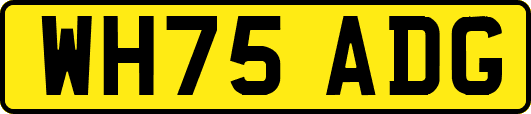 WH75ADG