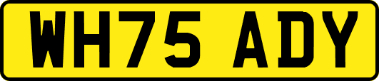 WH75ADY
