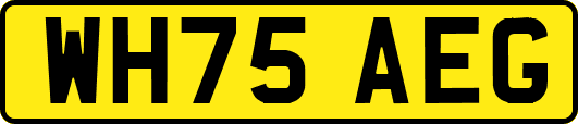 WH75AEG