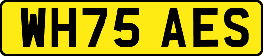 WH75AES