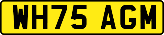 WH75AGM