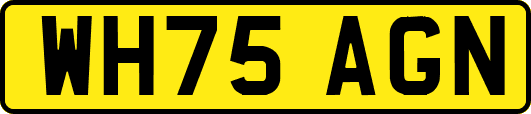 WH75AGN