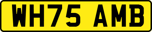 WH75AMB