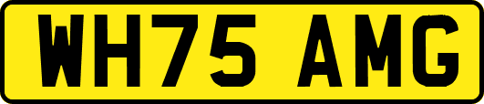 WH75AMG