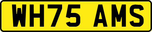 WH75AMS