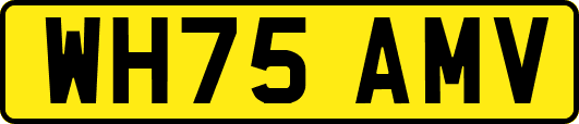 WH75AMV