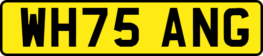 WH75ANG