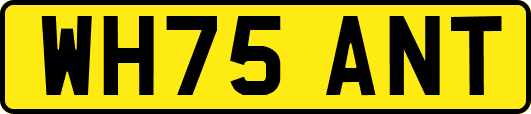 WH75ANT