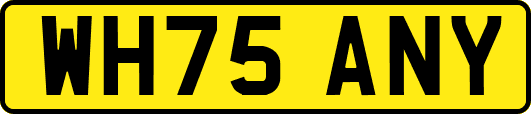 WH75ANY