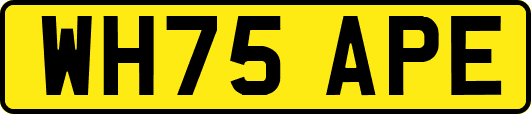 WH75APE