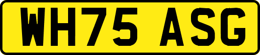 WH75ASG