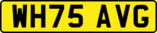 WH75AVG
