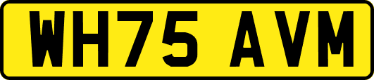 WH75AVM