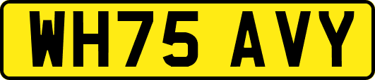 WH75AVY