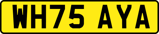 WH75AYA