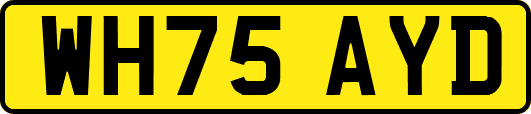 WH75AYD