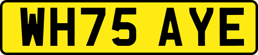 WH75AYE