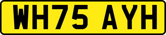 WH75AYH