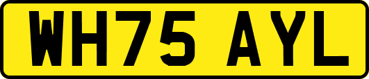 WH75AYL