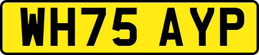 WH75AYP