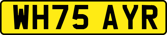 WH75AYR