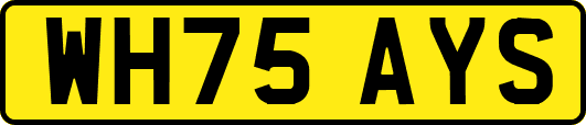 WH75AYS