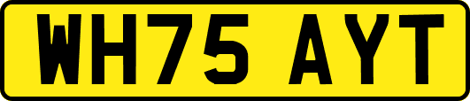 WH75AYT