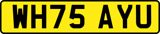 WH75AYU