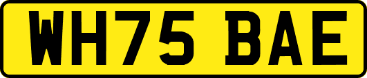 WH75BAE