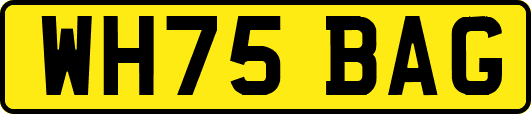 WH75BAG