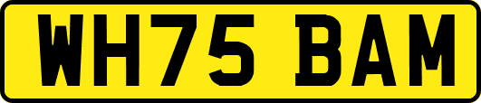 WH75BAM