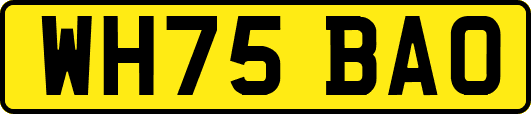 WH75BAO