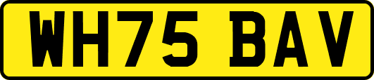WH75BAV