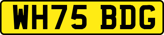 WH75BDG
