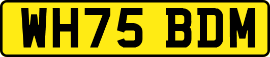 WH75BDM