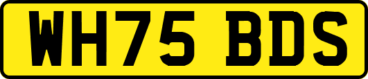 WH75BDS